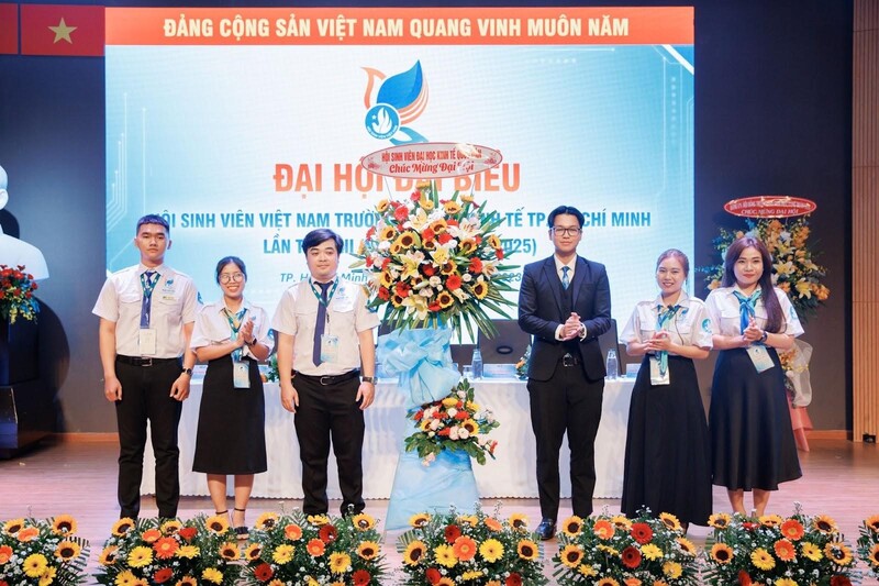 cá cược thể thao hul city